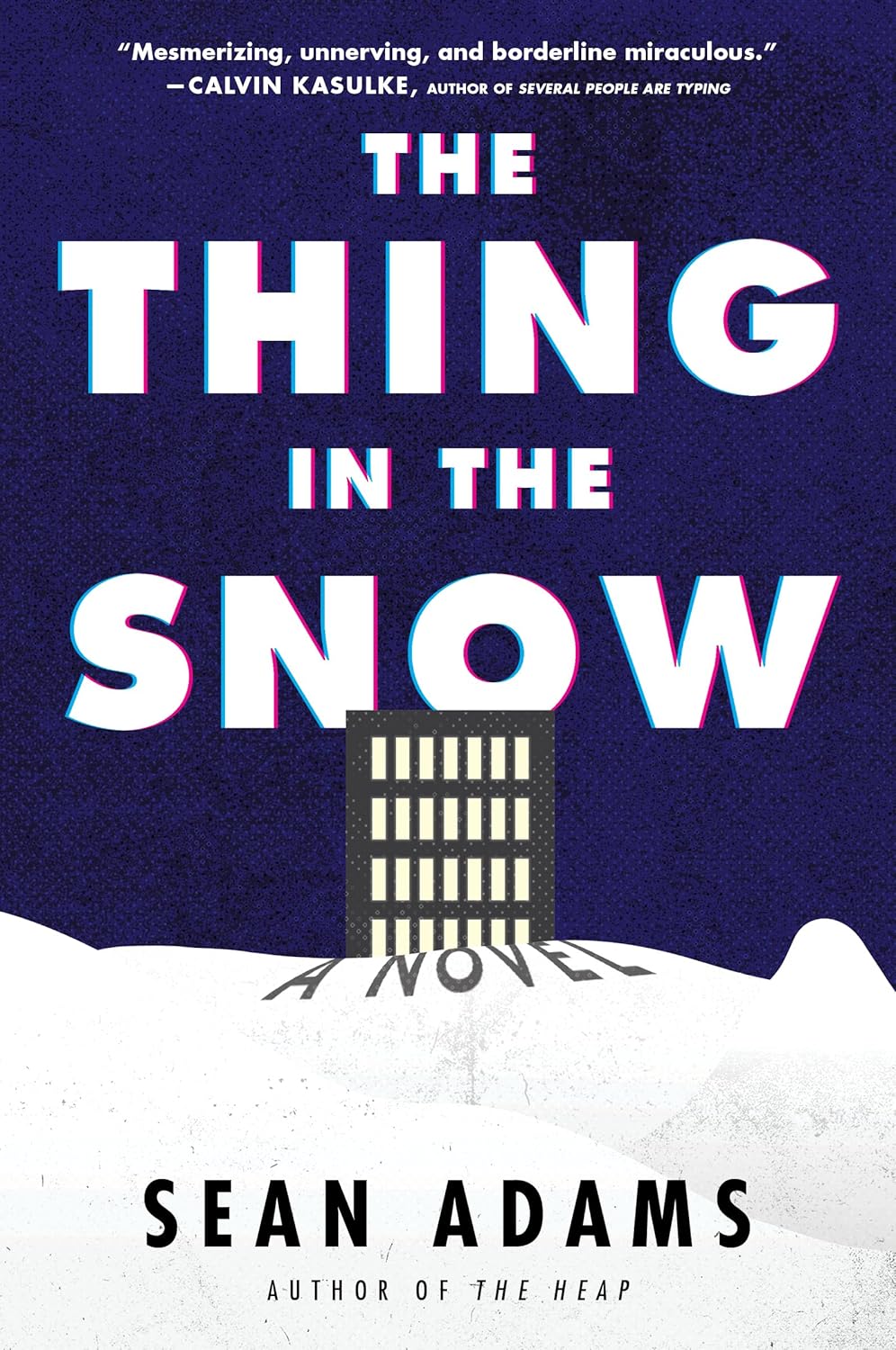 The Thing in the Snow: A Novel