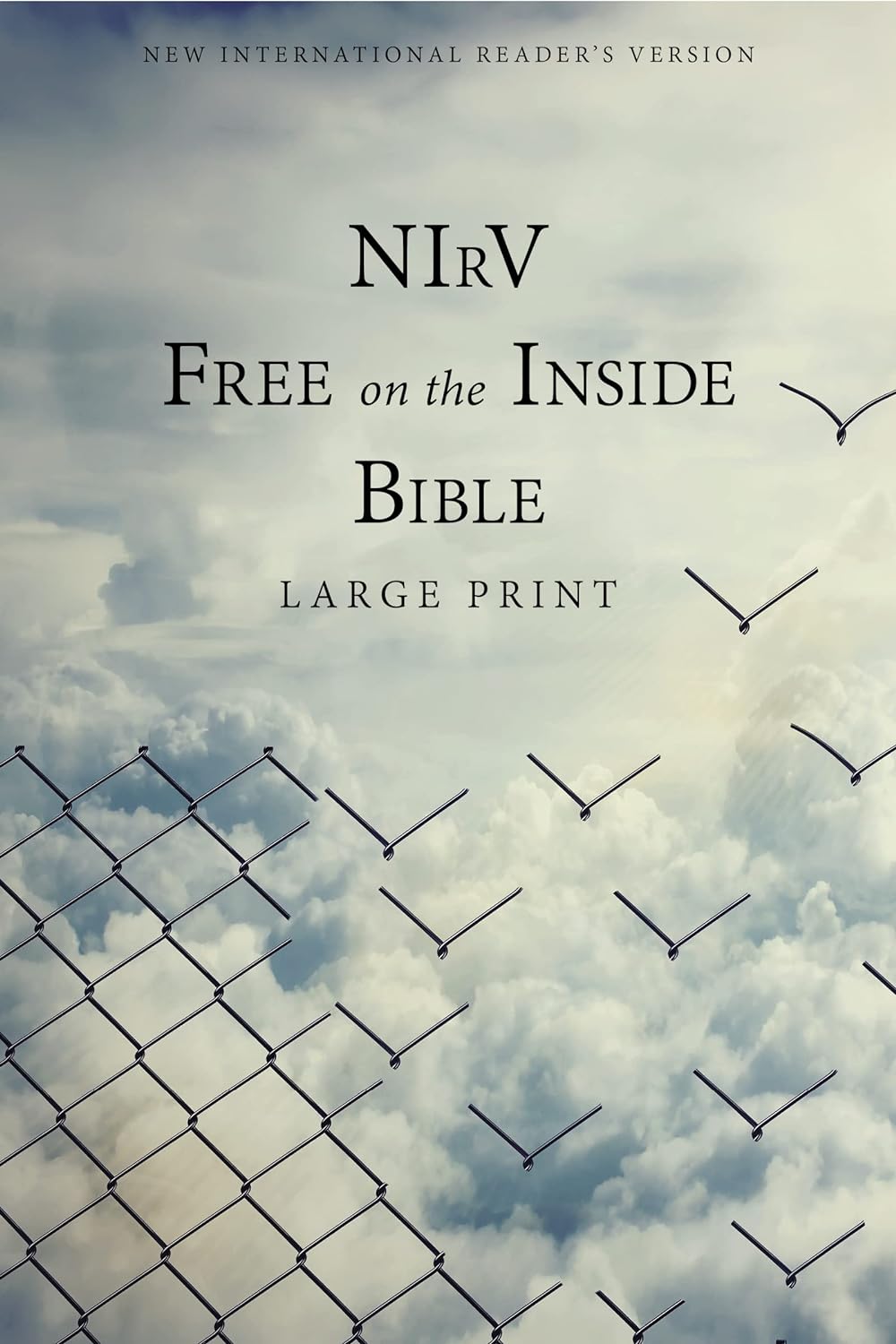 NIRV, Free on the Inside Bible, Large Print