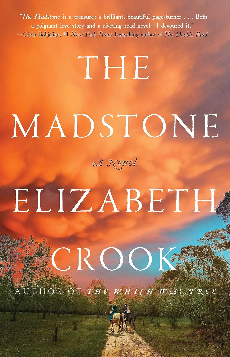 The Madstone: A Novel