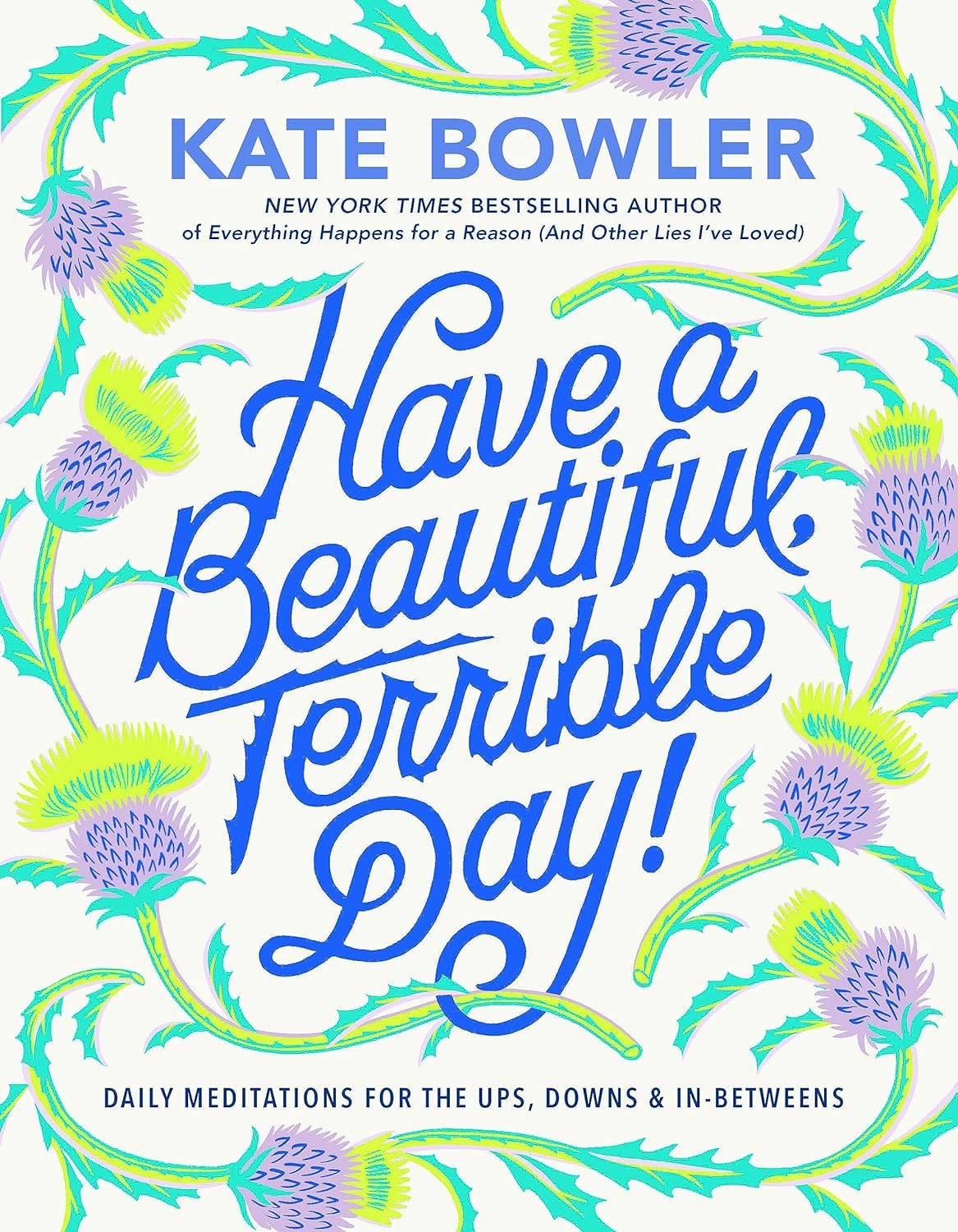 Have a Beautiful, Terrible Day!: Daily Meditations for the Ups, Downs & In-Betweens