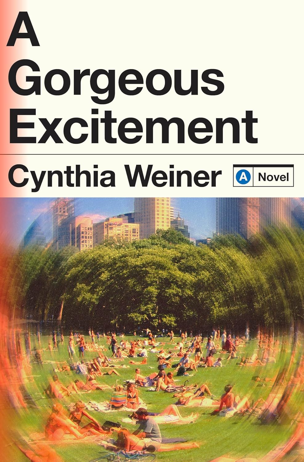 A Gorgeous Excitement: A Novel - Pre-Order