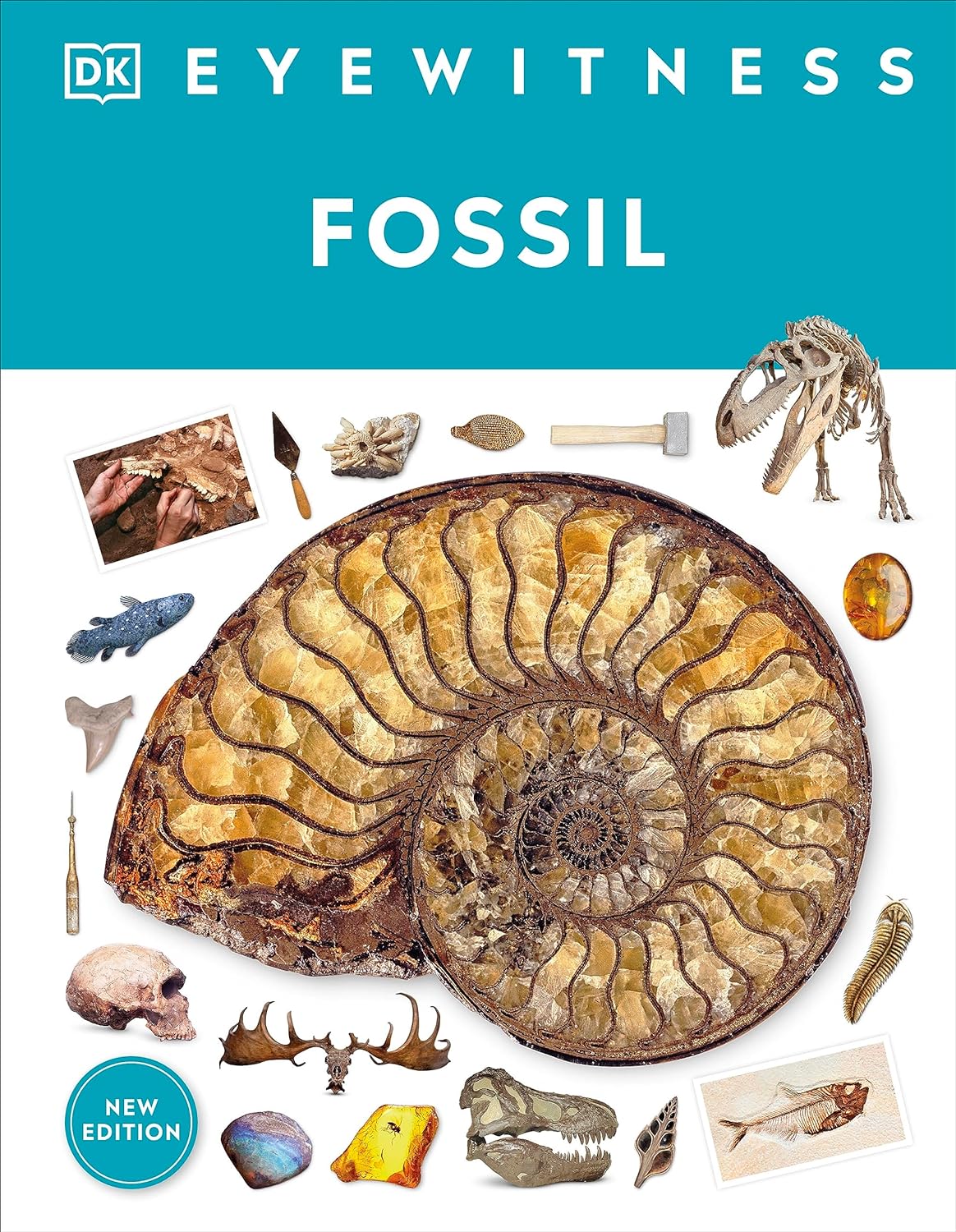 Eyewitness Fossil