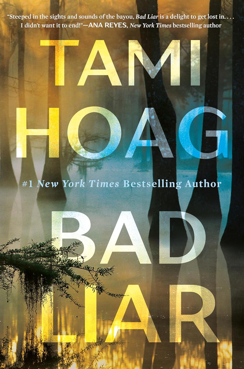 Bad Liar: A Novel