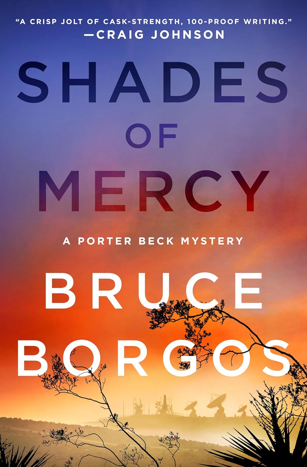 Shades of Mercy: A Porter Beck Mystery