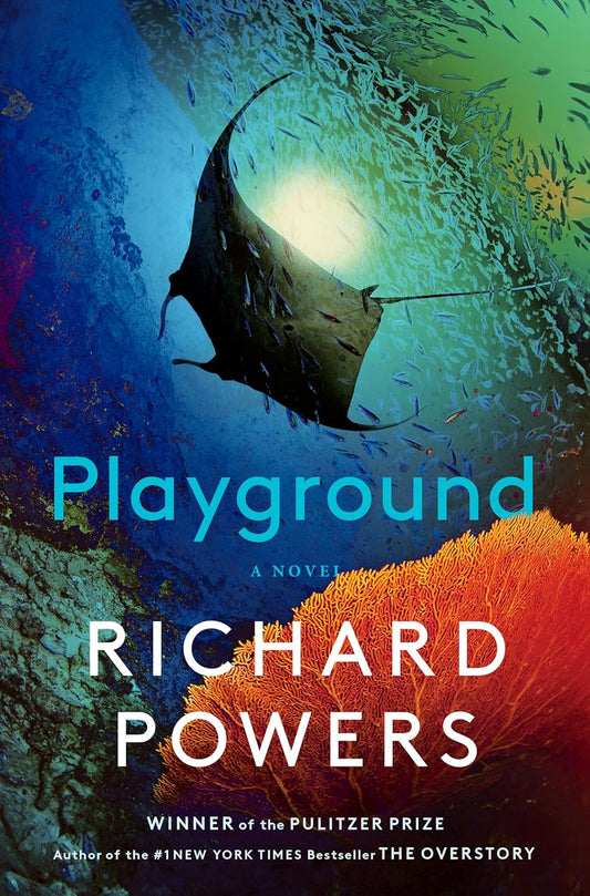 Playground: A Novel