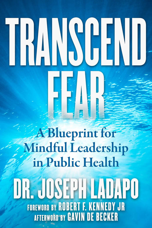 Transcend Fear: A Blueprint for Mindful Leadership in Public Health