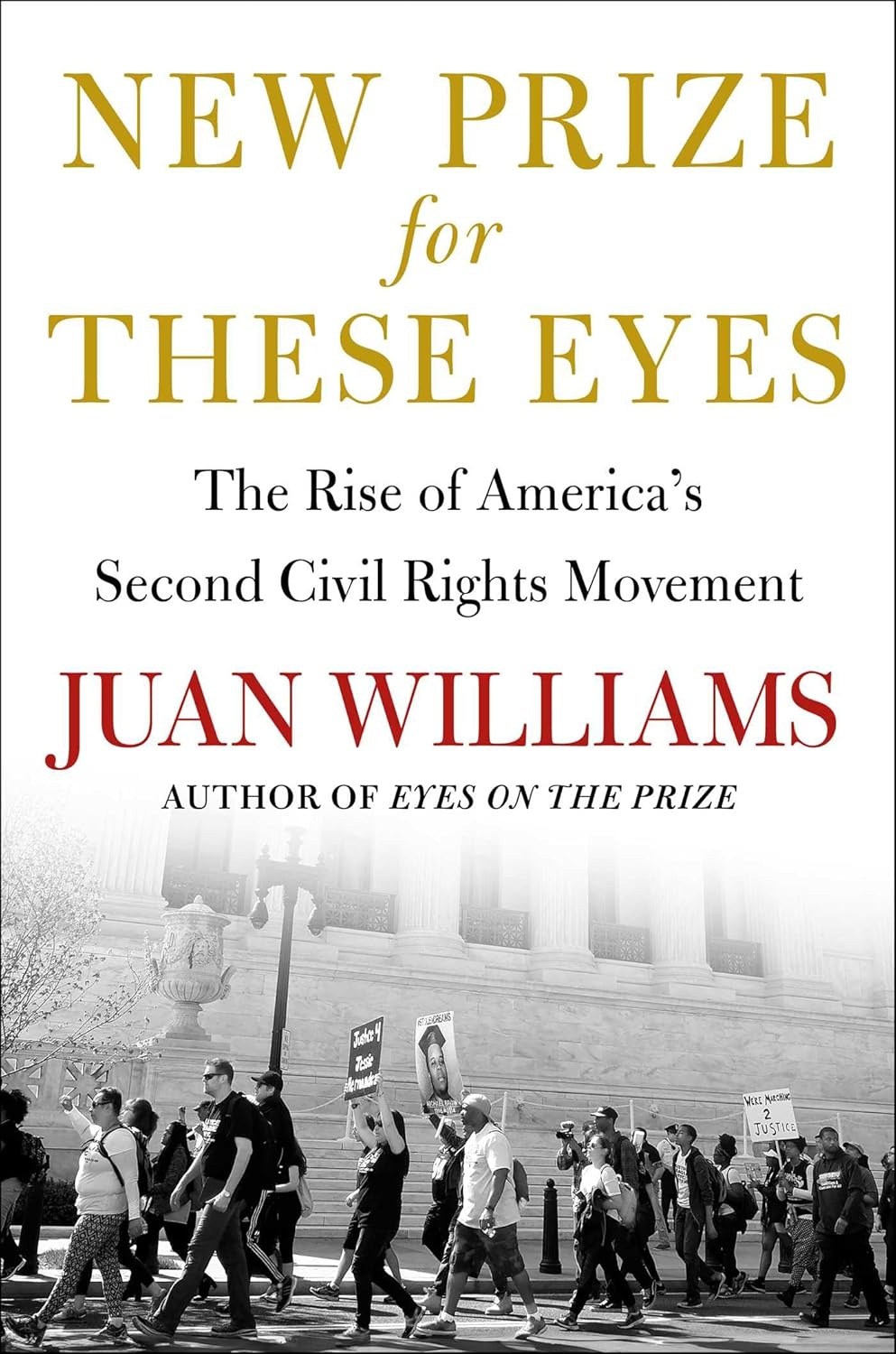 New Prize for These Eyes: The Rise of America's Second Civil Rights Movement