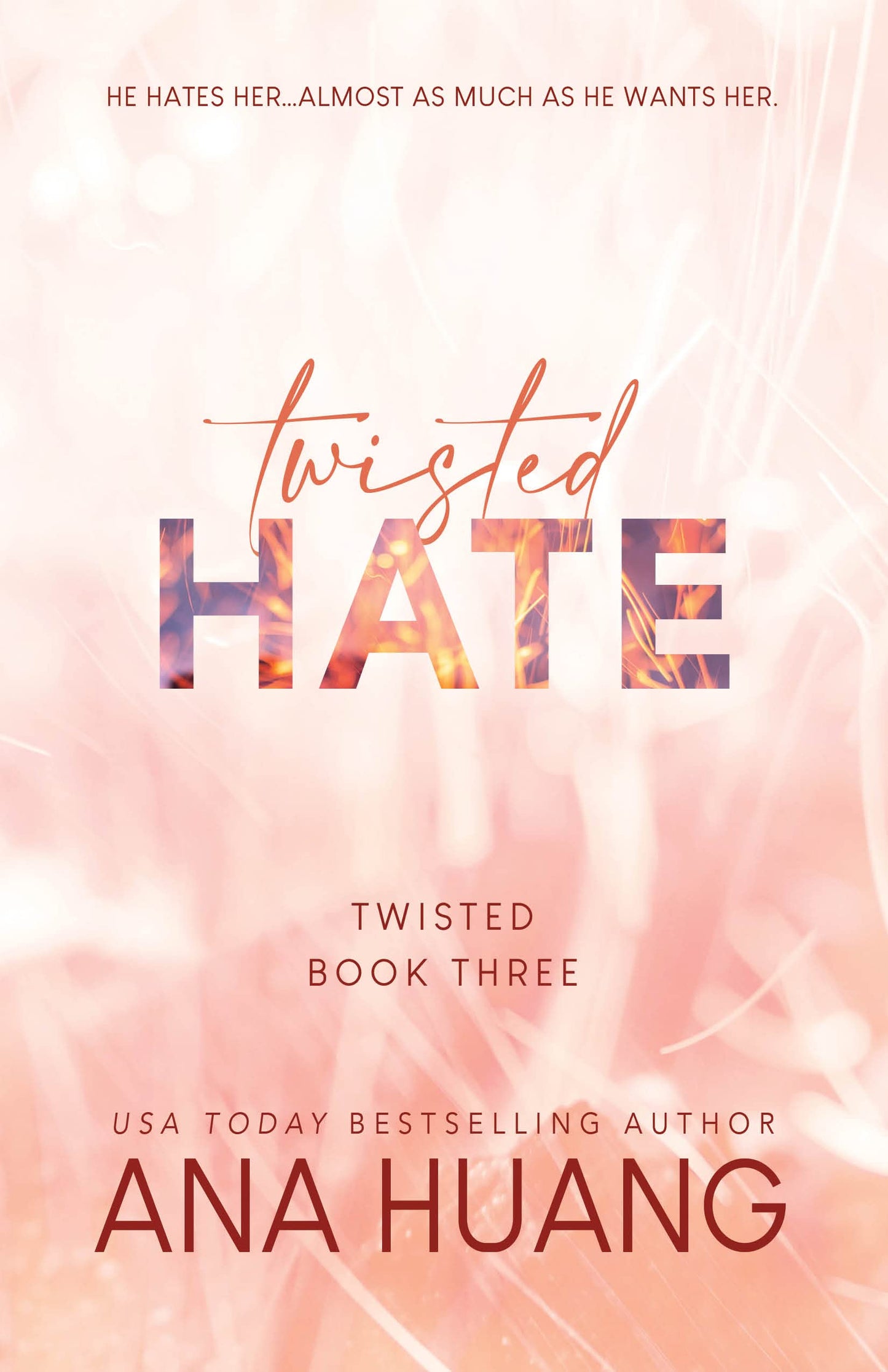 Twisted Hate (Twisted #3)