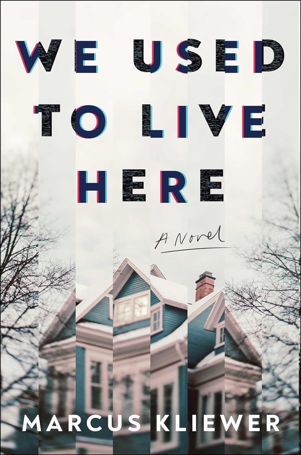 We Used to Live Here: A Novel