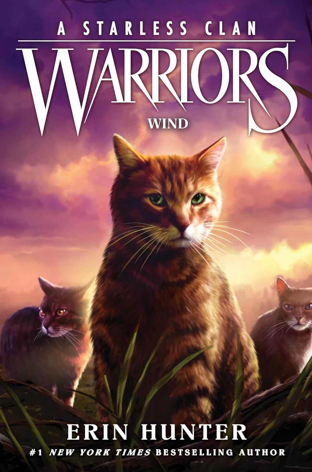 Warriors: A Starless Clan #5