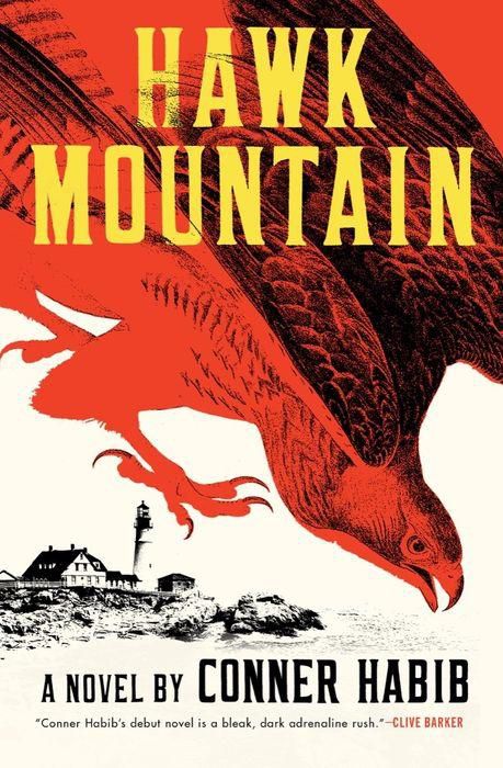 Hawk Mountain: A Novel