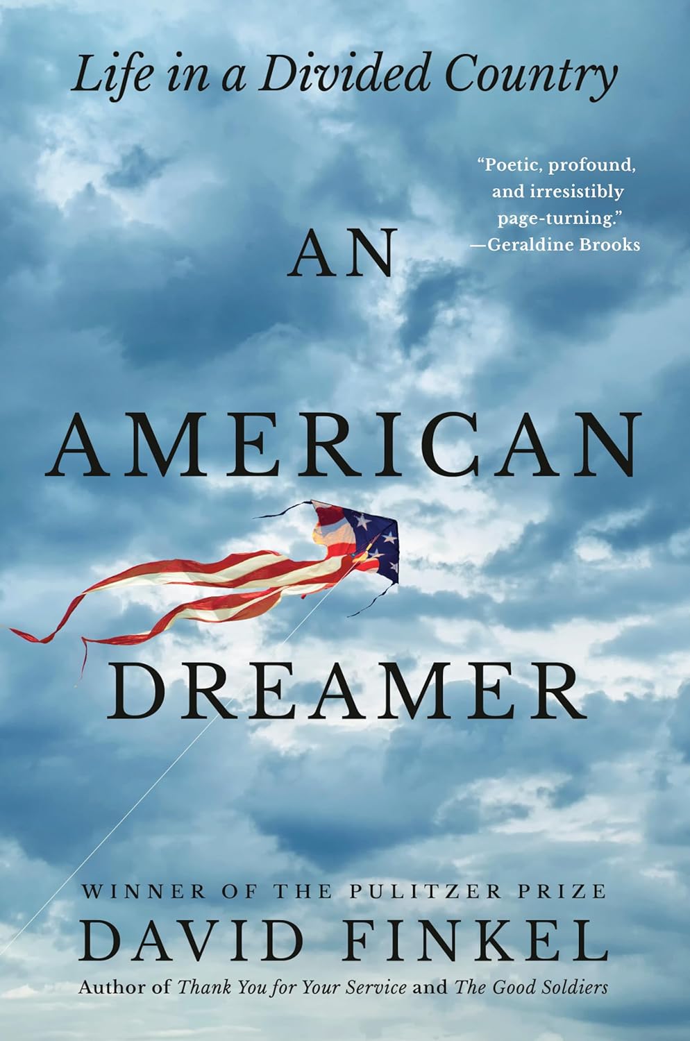 An American Dreamer: Life in a Divided Country