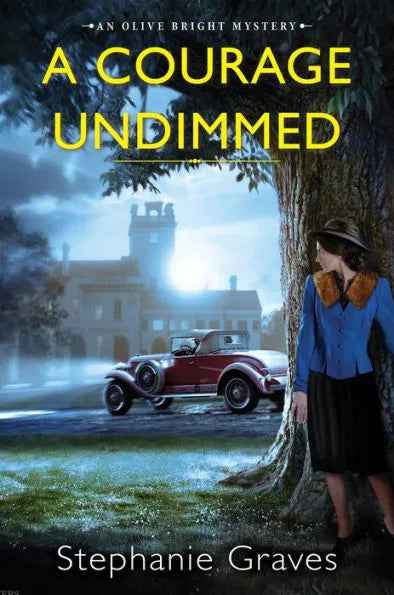 A Courage Undimmed: A WW2 Historical Mystery Perfect for Book Clubs - Backorder