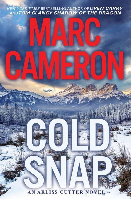 Cold Snap : An Action Packed Novel of Suspense